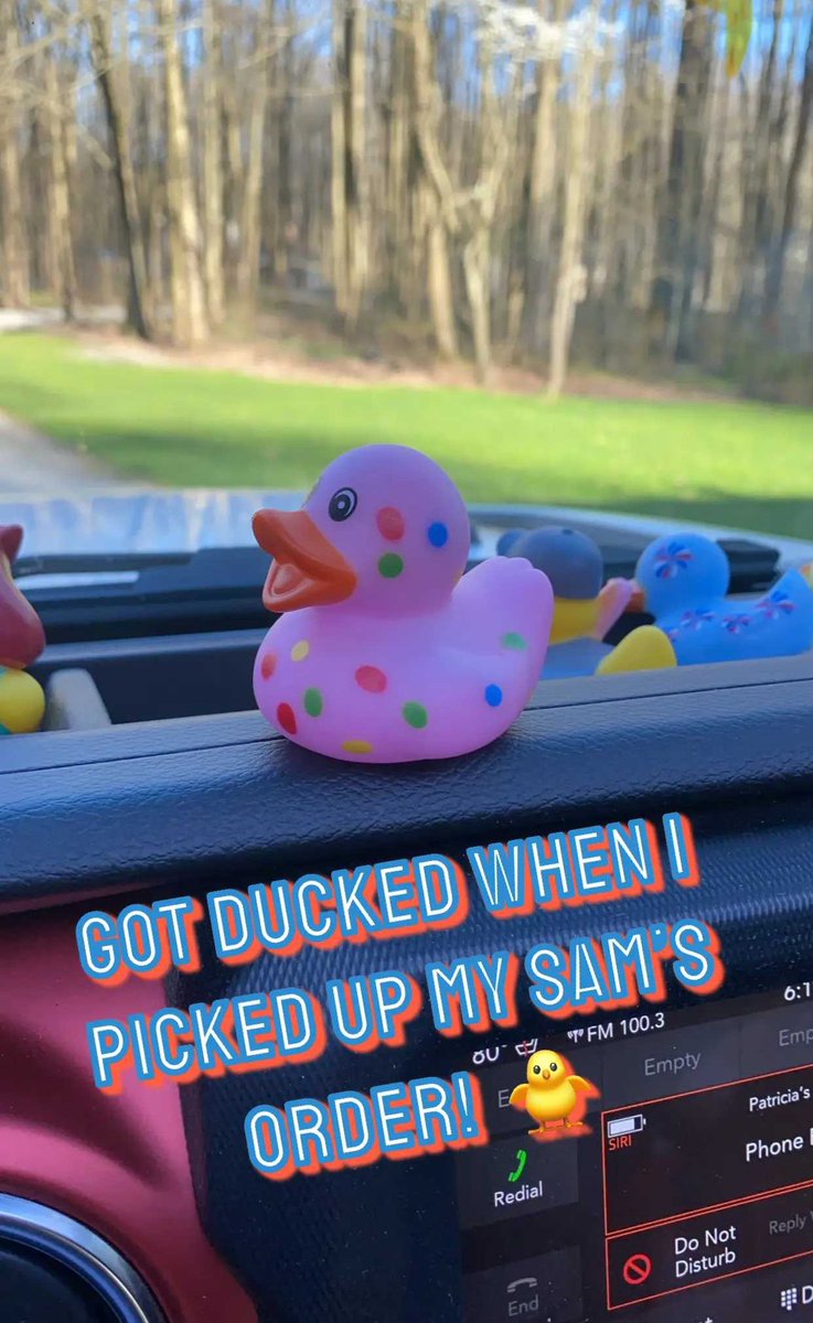 PmcsnoopyPatty's tweet image. #Jeep #ducked