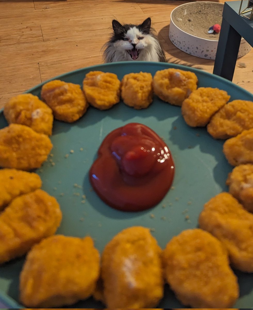 NUGGETS!?!?!