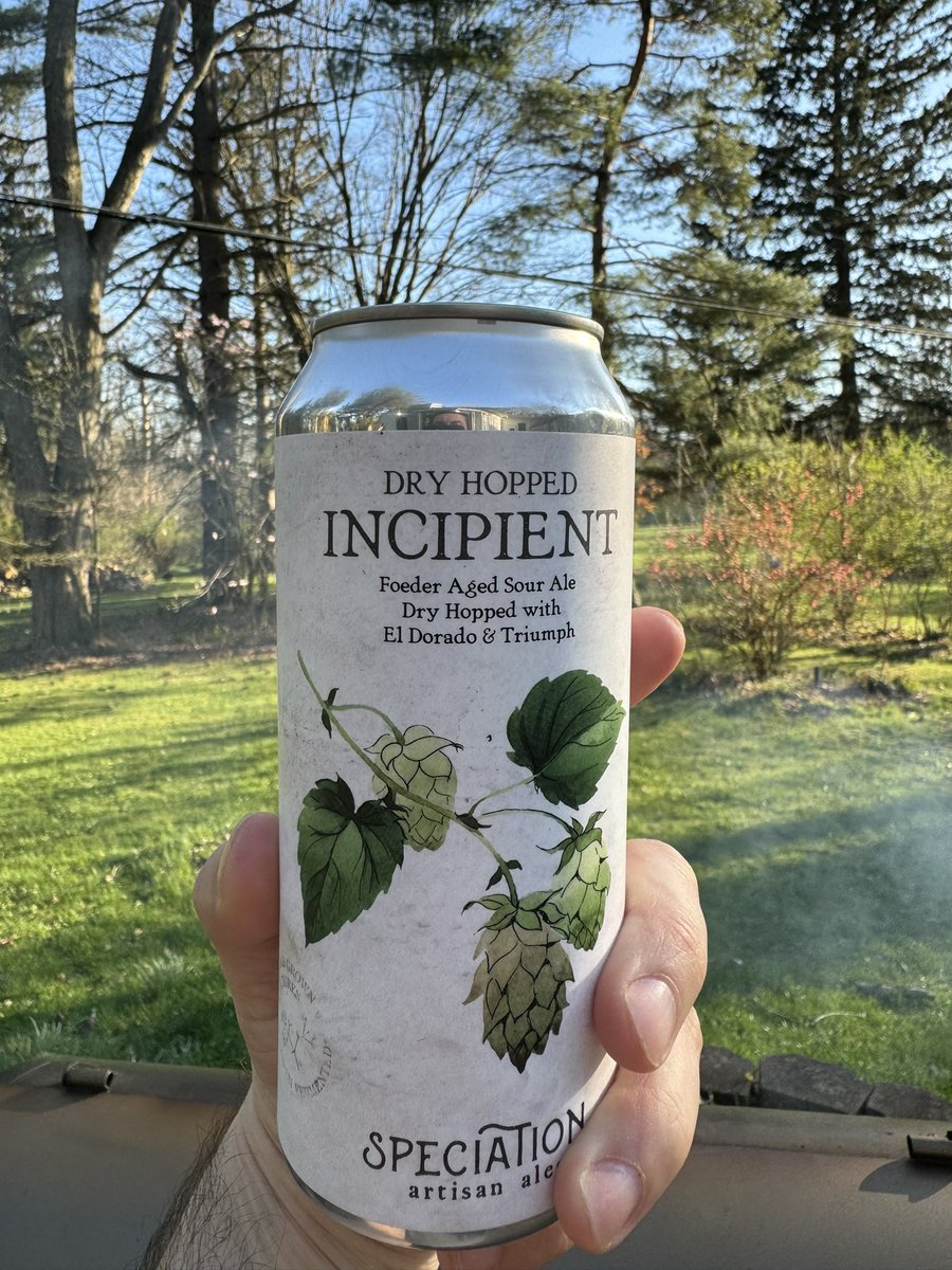 Michigan Untapped tweet media