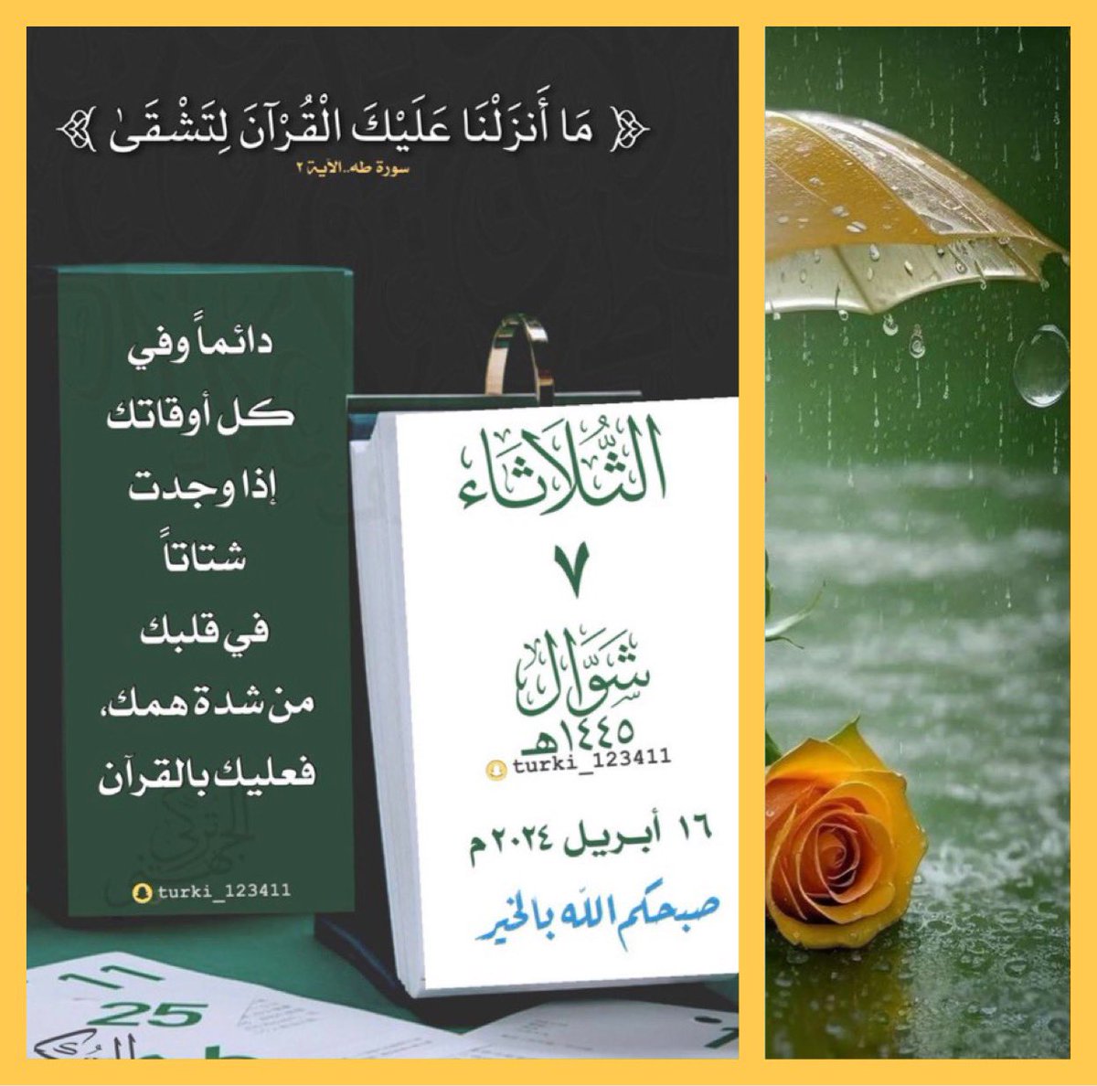 صباح الثــلاثاء ٧ شــوال صباحكم مُعطر بذكر الله #عليك_بالقرآن🕊🌿