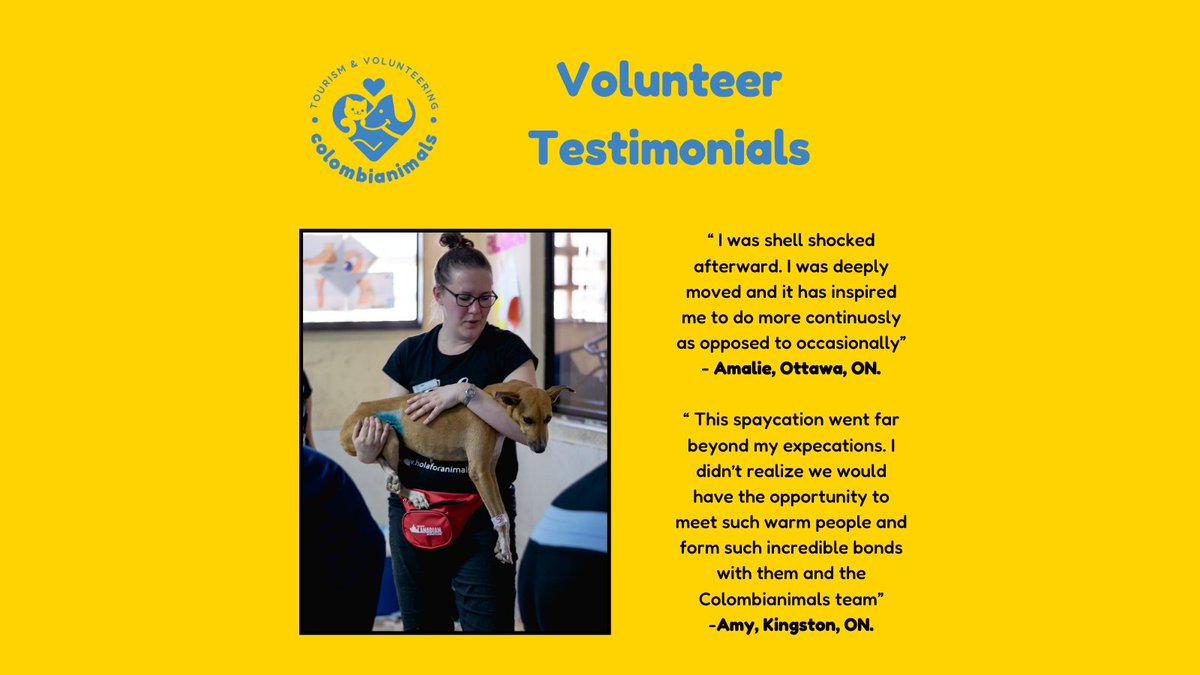 colombianimals's tweet photo. This month, as we celebrate #NationalVolunteerMonth, we extend our heartfelt appreciation to all our volunteers. Their dedication and commitment have been instrumental in addressing the challenge of animal overpopulation in Colombia. https://t.co/Dctmd4USpW