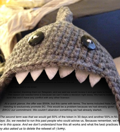 Shark Cat 🦈🐱 tweet media