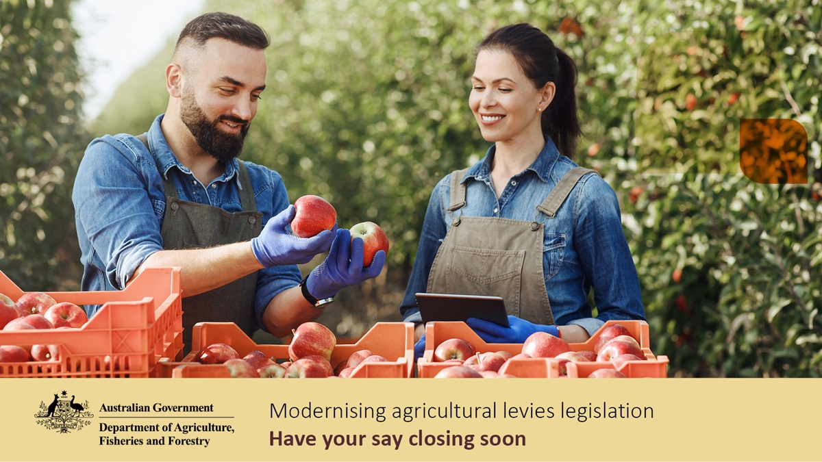 It’s not too late to have your say on the draft regulations and rules for the new simpler, clearer agricultural levies legislation. You have until 23 April to provide your feedback. 👉 For further information and to have your say, visit: brnw.ch/21wIQwF