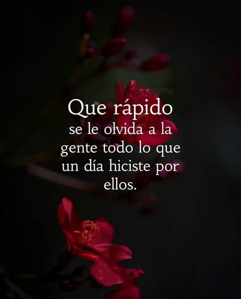 PauloCoelhoDice's tweet photo. https://t.co/Vf5dxtObkm