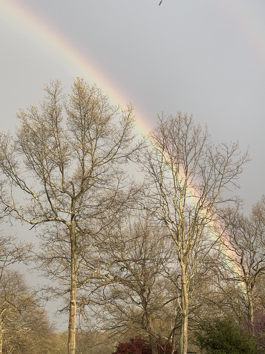 Beautiful rainbow from my front porch 🌈 can you see the double☺️