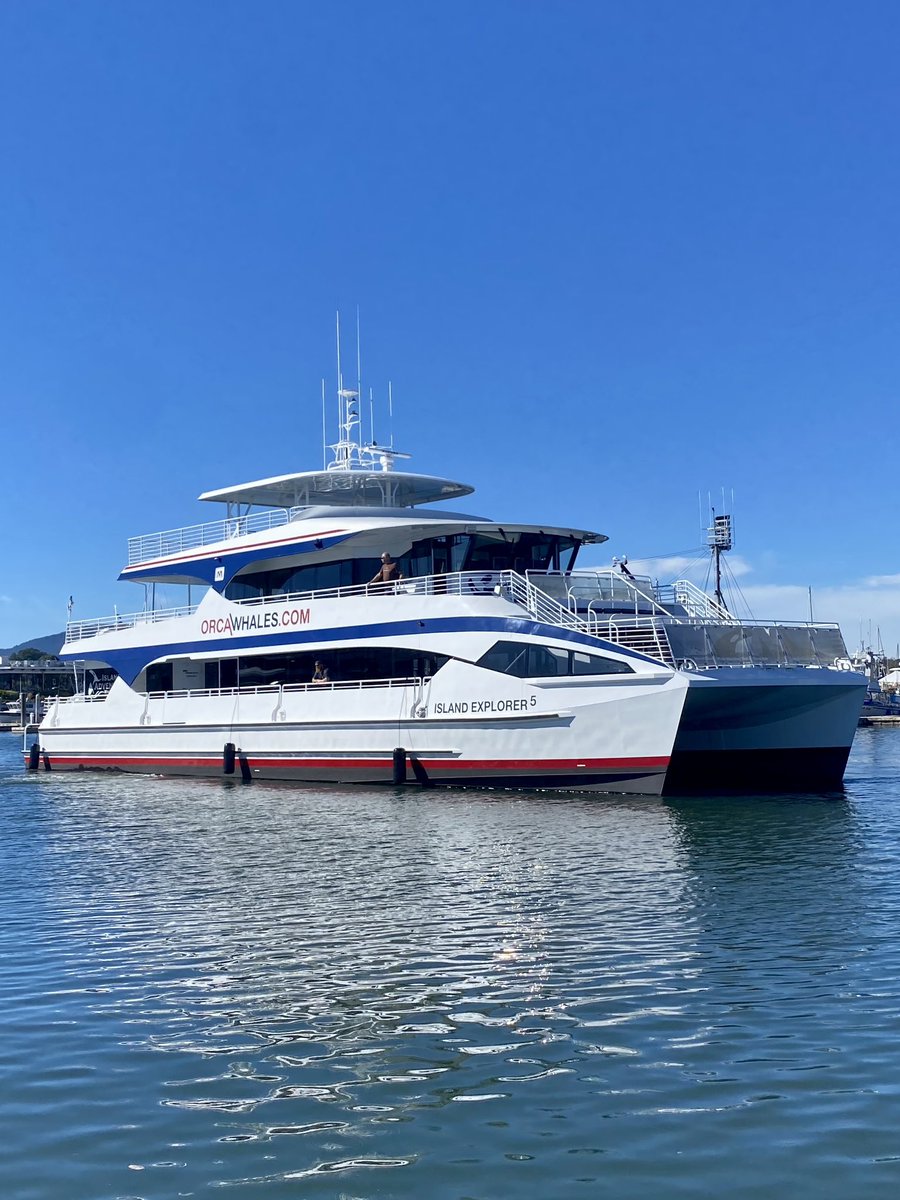 The Island Explorer 5, our vessel for adventure on the Salish Sea! 🌊

#whalewatch #whalewatchtour #islandadventures #whalewatching #orcawhales #humpbackwhales #minkewhales #graywhales