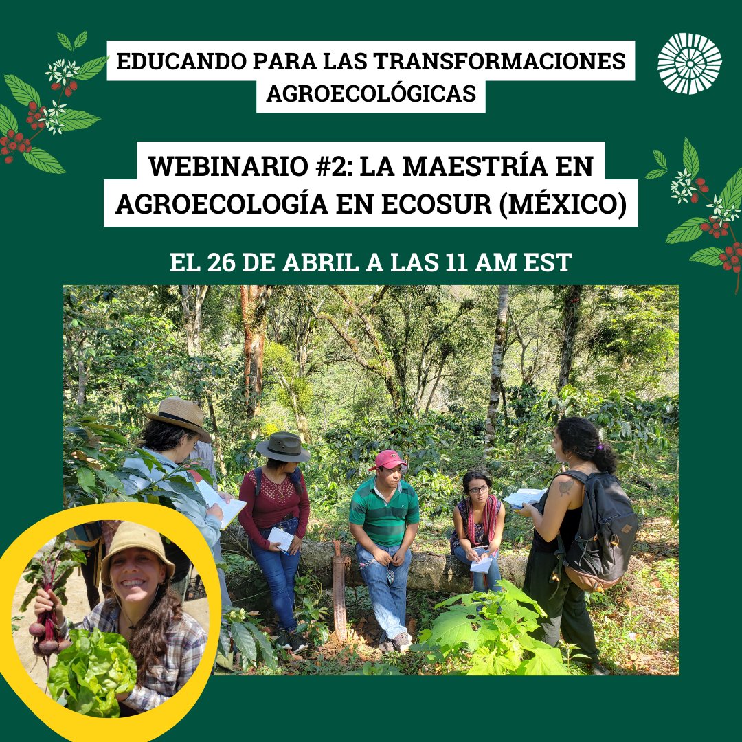 🌼Join us for our second webinar of the new 'Lets Educate for Agroecological Transformations' series, covering the Master's in Agroecology at @ecosurmx! 📅 Register today/ Regístrese hoy: uvm.edu/instituteforag… 💃Se proporcionará traducción español-inglés.