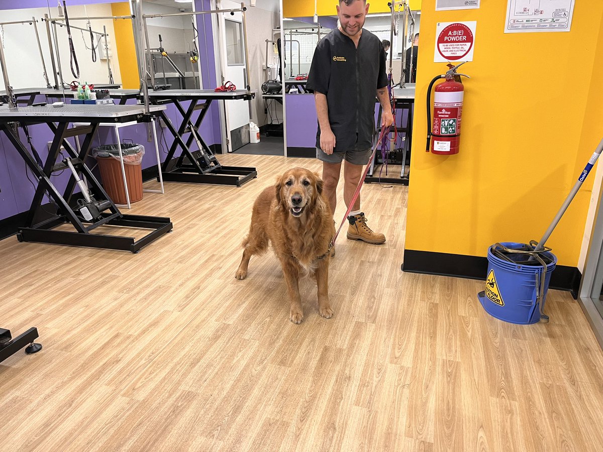 I was very excited to visit the pet store. Until I realised I’m actually at the groomer. 🛁🛁🛁🛁