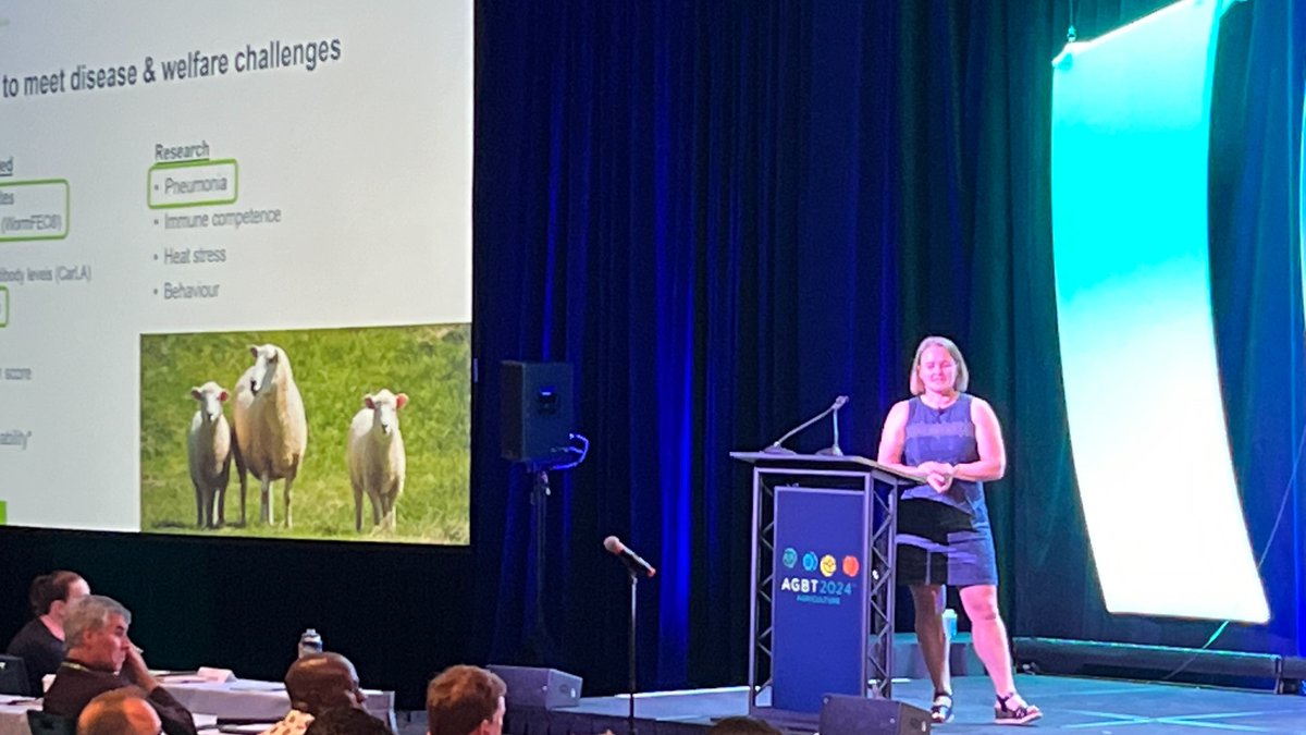 AGBT Meeting (@agbt) on Twitter photo Abstract Select: <a href="/KathrynMMcRae/">Kathryn McRae</a> from <a href="/AgResearchNEWS/">AgResearch</a> takes the stage at @AGBT Ag 2024 to talk pneumonia, pseudopithomyces, parasites and the role of genomics in addressing animal health challenges in sheep. #AGBTAg Abstract Select: <a href="/KathrynMMcRae/">Kathryn McRae</a> from <a href="/AgResearchNEWS/">AgResearch</a> takes the stage at @AGBT Ag 2024 to talk pneumonia, pseudopithomyces, parasites and the role of genomics in addressing animal health challenges in sheep. #AGBTAg