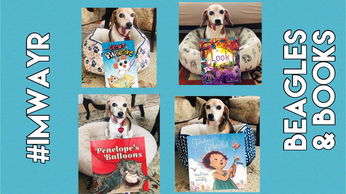 On Beagles & Books’ #IMWAYR, Bella & I are celebrating early book birthdays for #picturebooks with themes of observation, patterns, gratefulness & acceptance & a new #graphicnovel series with a precocious pup & cantankerous cat. Reviews ➡️ beaglesandbooks.com/2024/04/14/its… #beaglesandbooks