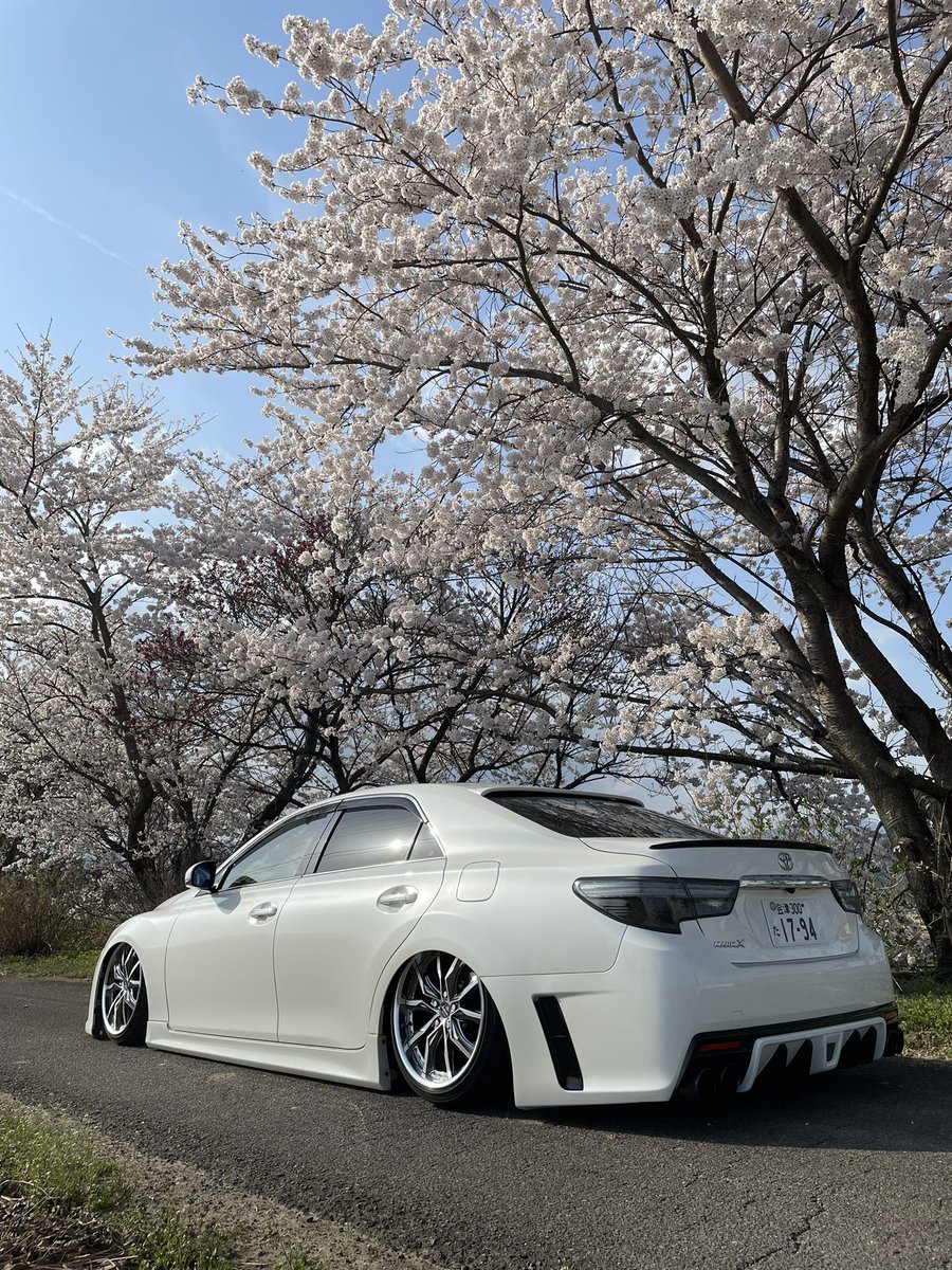 近場でも撮りたい📸