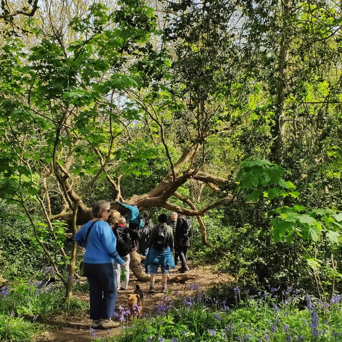 twomindfulbees's tweet photo. @GreenercleanerB @CommLinksBrom @tamasinrhymes @TWSolicitors @BeckenhamPark @EcoAroundUK https://t.co/IkdUxueZlk