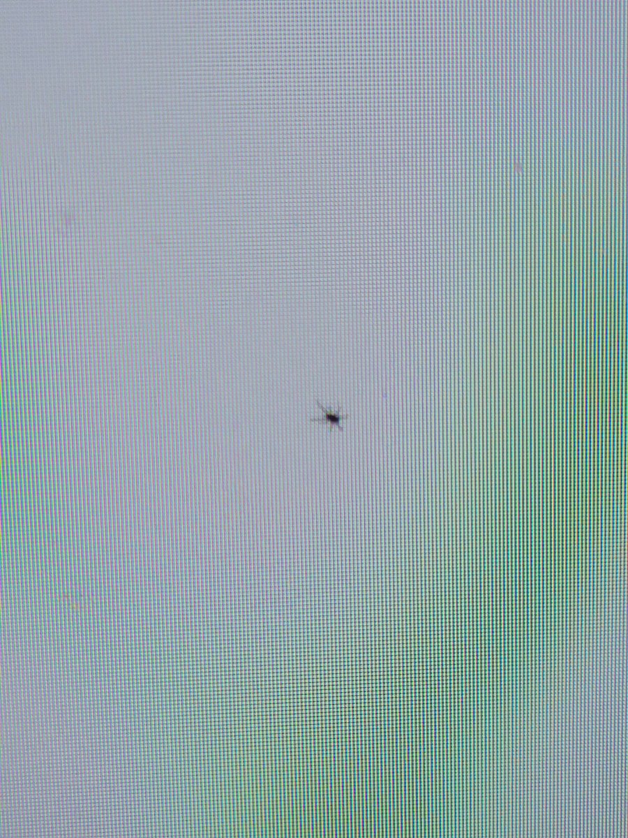 Tiny spider inside of monitor. Is there anything I can do? #help #PCGamer 🔗 u/Johnb125