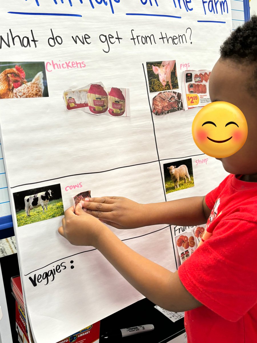 Today we talked about different things that farms provide for us. We searched through grocery store flyers to find pictures for our anchor chart! #prek #prosperproud