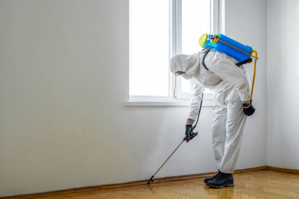 Unwelcome guests like spiders, scorpions, and rodents can turn your home or business into a habitat for chaos. That's where our comprehensive pest control services come into play: aztermitepest.com/commercial-pes…