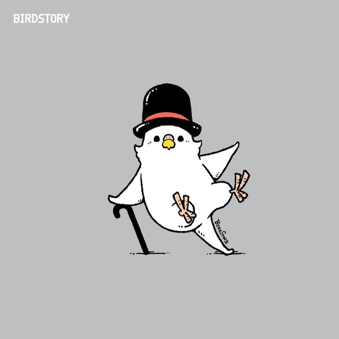 「BIRDSTORY」 illustration images(Latest))