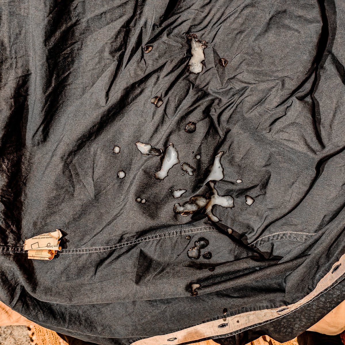 Le criminel / le crime