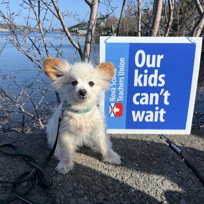 RJDunstan's tweet photo. #NewProfilePic https://t.co/Np6KDp7o1A