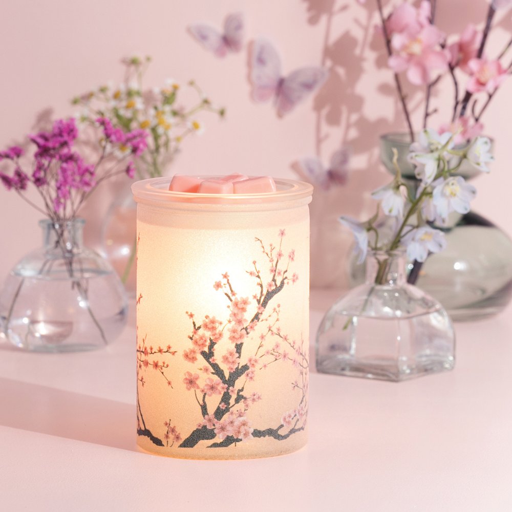 Blossom Scentsy Warmer is back in stock! 🌸

incandescent.scentsy.us/shop/p/89516/b…