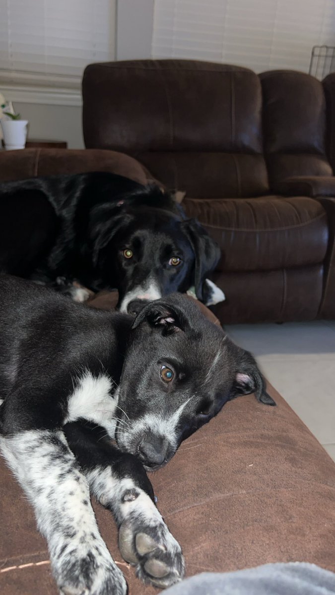 my besties🐾<a href="/kolton_oriley/">kolton_oriley</a>