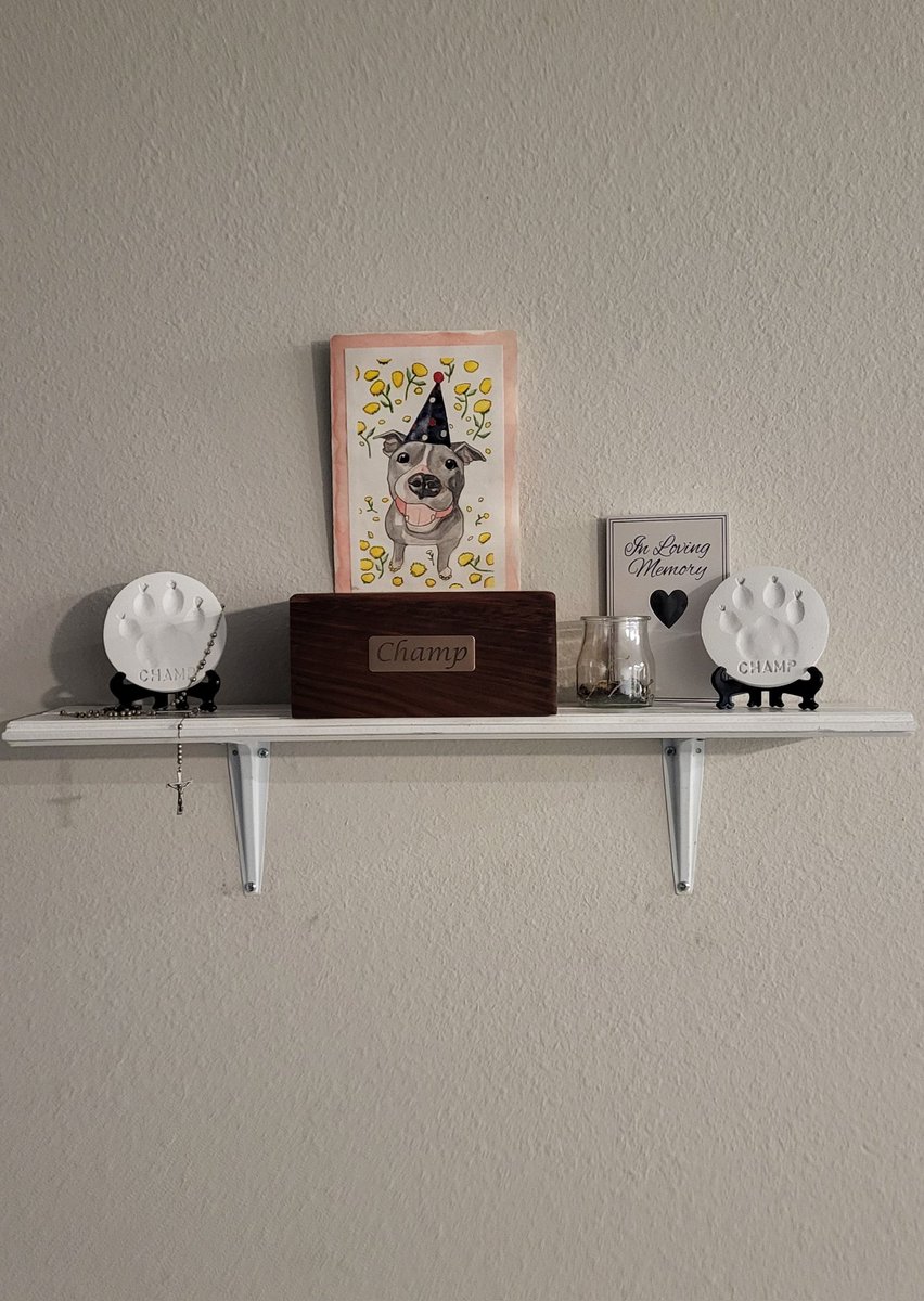 We finally found a place for our Lil guy. Somewhere we can see him every day.