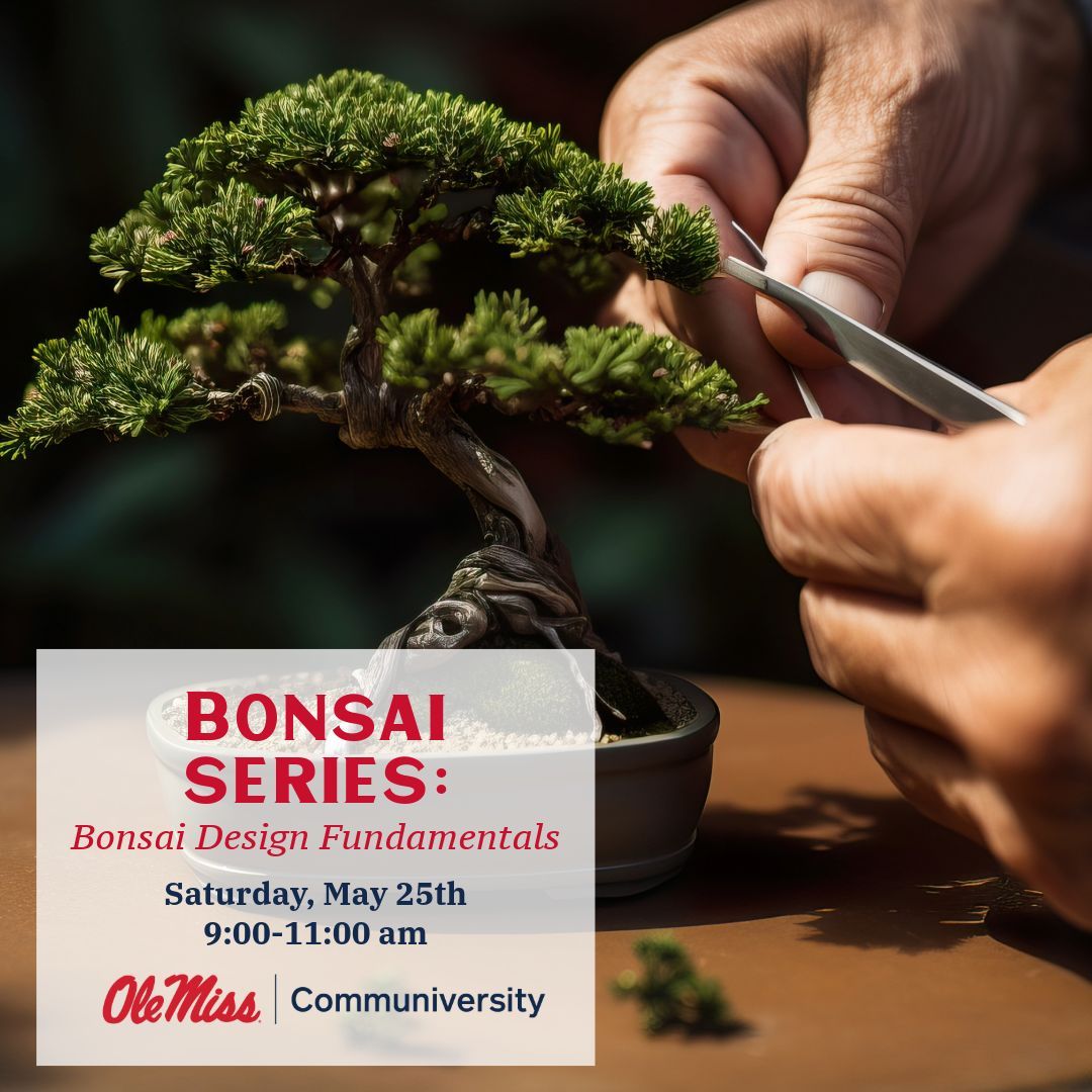 Join Zach Adams for our ongoing bonsai series! In this stand-alone course, Zach will guide you through the basics of bonsai design and how to achieve your bonsai shaping goals! Register here: buff.ly/4acf5q8