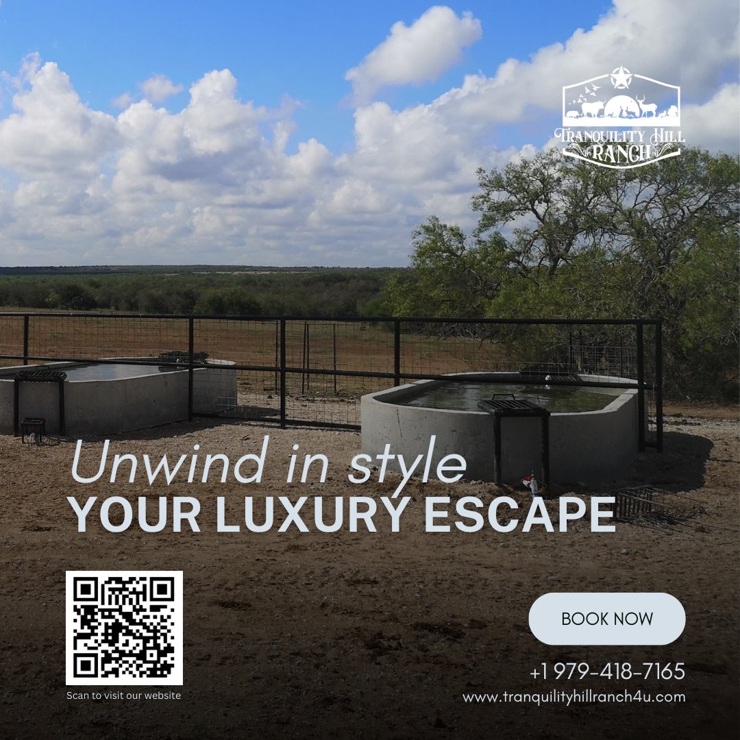 Thillranch4u's tweet photo. Find your inner peace surrounded by the breathtaking beauty of Tranquility Hill Ranch. 🌾 Let nature be your guide to serenity. #InnerPeace #NatureTherapy #TranquilEscape https://t.co/Vr15nMSj8I