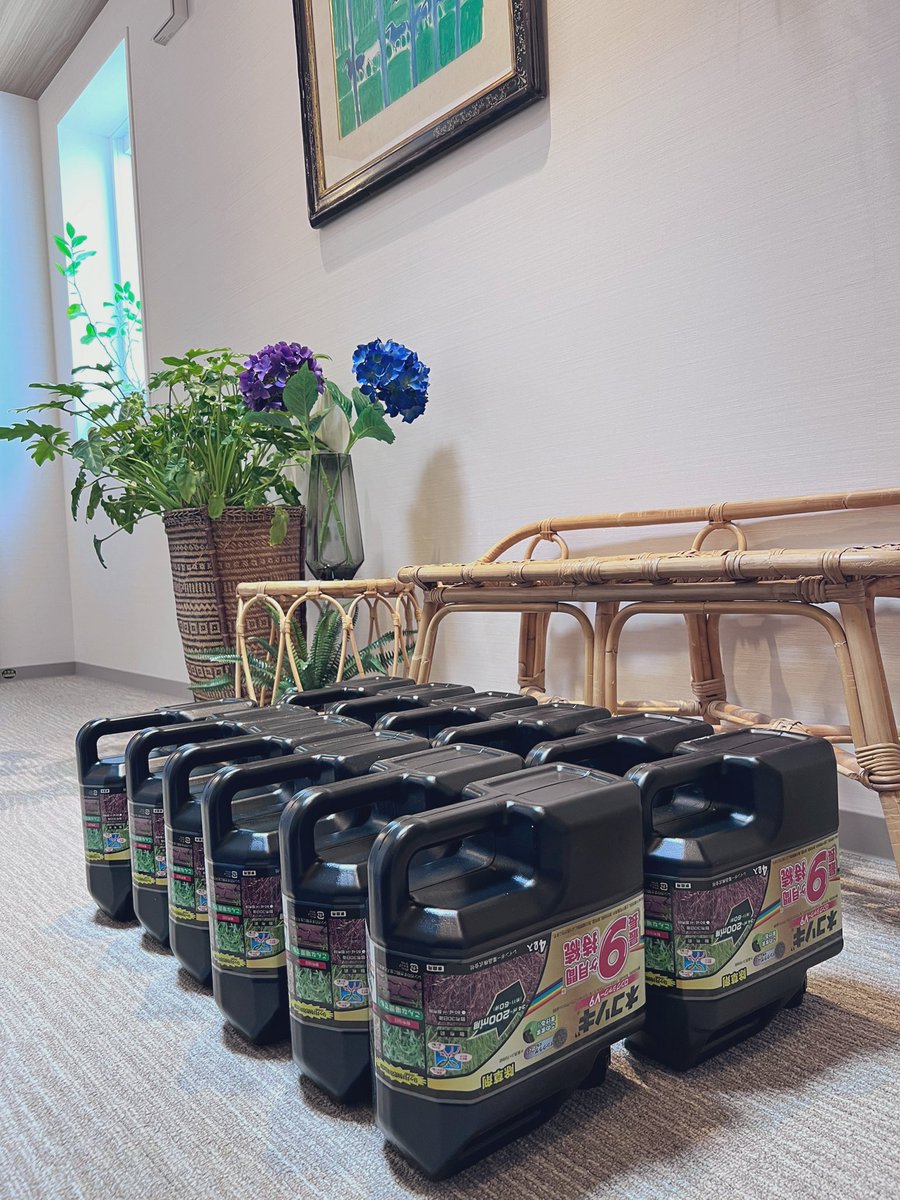 shorinmon's tweet photo. 鎌倉撮影スタジオ「松林門」
本日は除草作業します。
この除草剤、とても効きます。
#松林門
#鎌倉撮影スタジオ
#除草作業 https://t.co/xCL6i2YMbJ