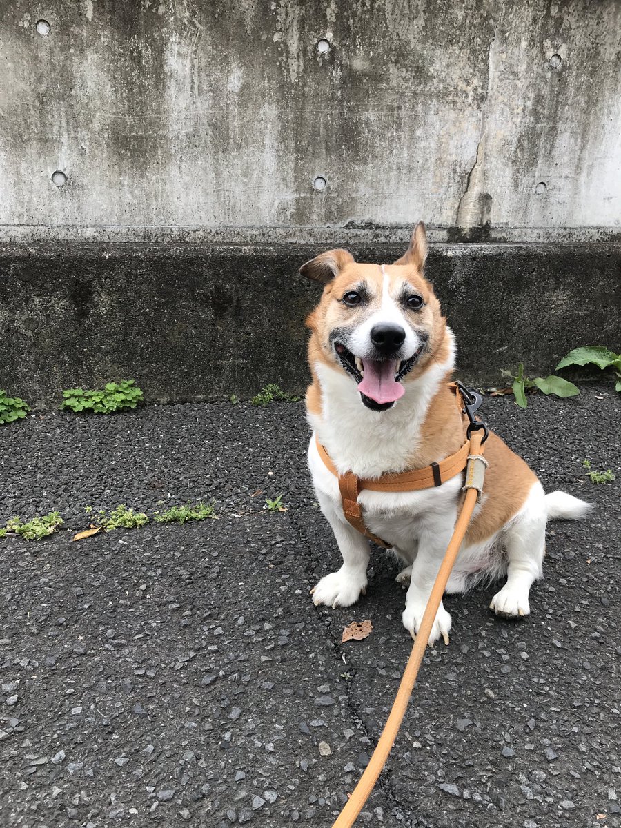 kenblog08's tweet photo. 疲れました。 https://t.co/jFNbqmIzlT