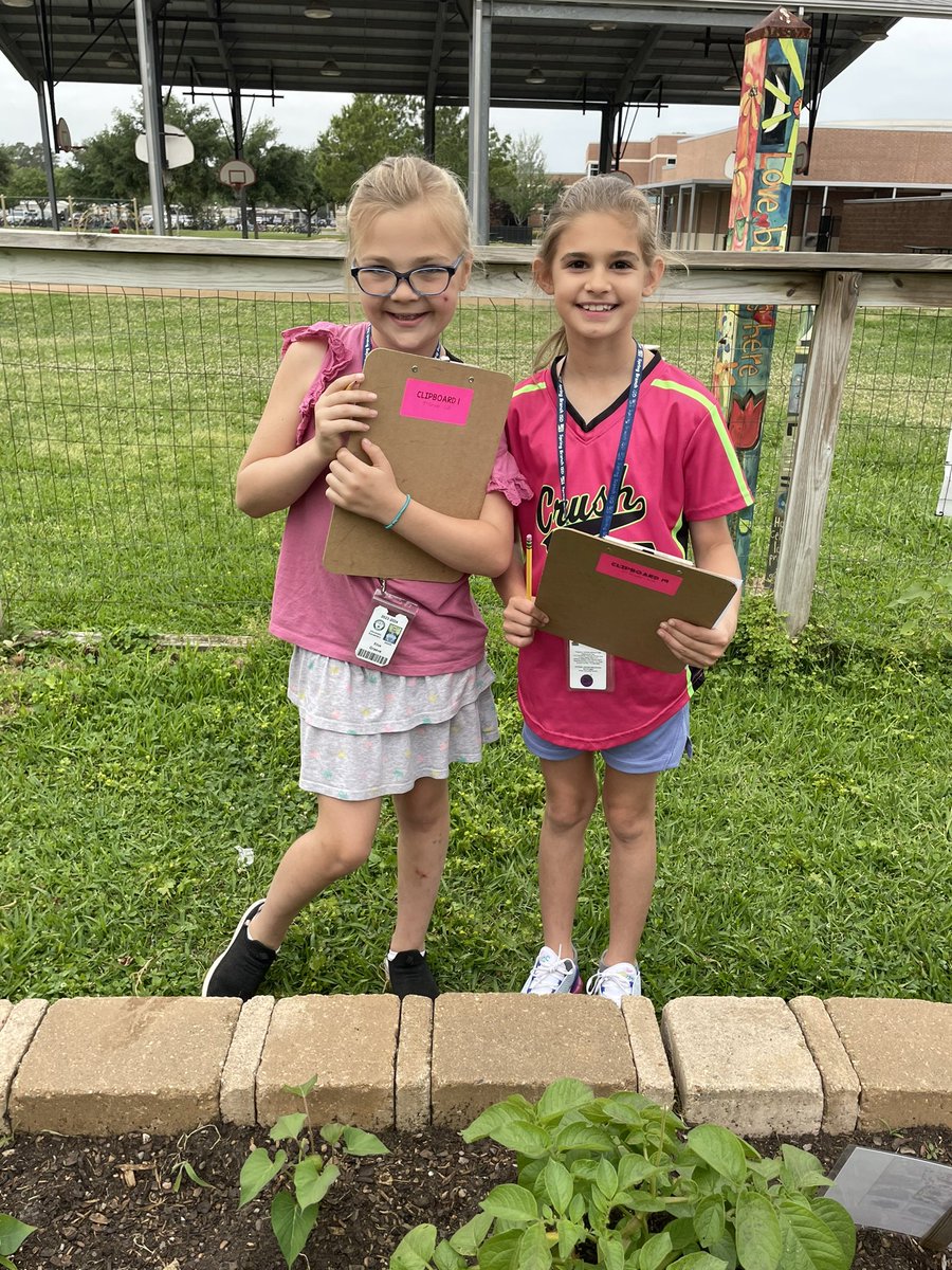 Technical drawings of food chains & life cycles in the garden is how we are learning today!!! @WilchesterSBISD @readygrowgarden @LizGoodman1 
#lifecycles #foodchains #insects