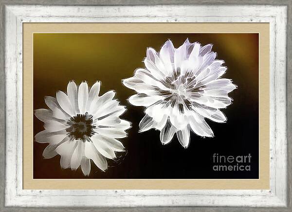 Lifetime Partners Wildflower Abstract Framed Print #travelingtx #buyart #spring #whiterocklake #wildflowers #dallastx #abstract #Photoartwork #spring #dmsfineart #DianaMSharpton #fineartamerica #fineart4sale #walldecor #prints4sale #apparel

Artist Deck:  dianamary-sharpton.pixels.com/featured/lifet…