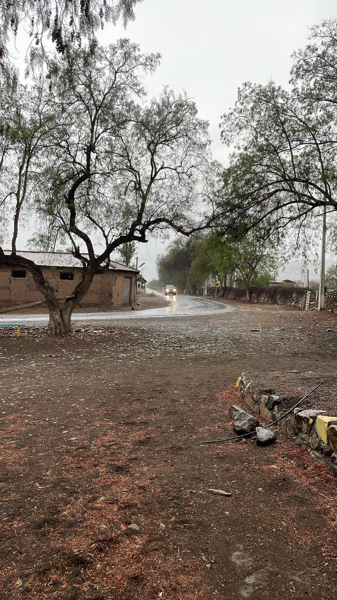 Adiós Baja Segregada y gracias por dejar la mayor cantidad de lluvia en las zonas donde más lo necesitan 🩶 

Chincolco 10.7 mm #Petorca
Alicahue 15.6 mm #Cabildo 
Y el premiado Paihuen con 20.8 mm #Cabildo