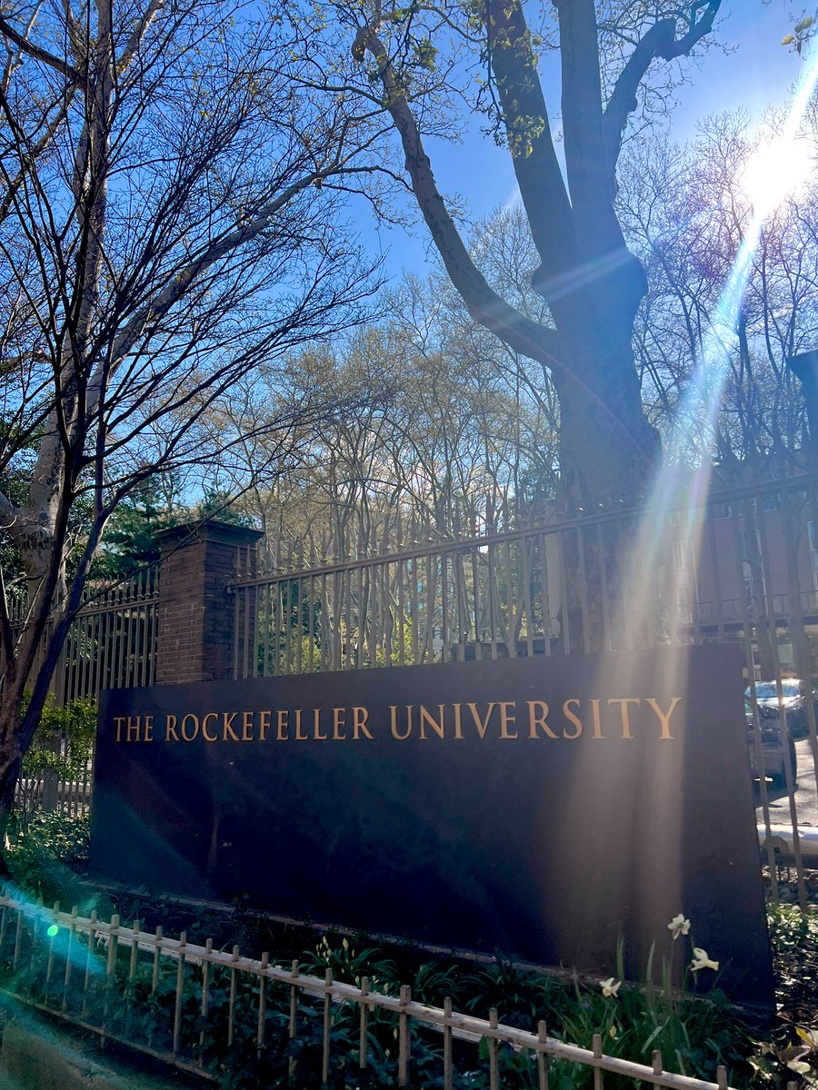 I'm excited to start my new research life as a postdoc at @lizzyzhao lab in @RockefellerUniv from today! I'm very grateful for such a wonderful opportunity. I cherish inspiration from people in new environments and I'll keep learning and try to acquire wider knowledge🪰🧬