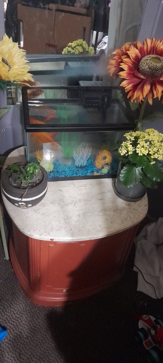 Stephanie McGraw (@superstevie8) on Twitter photo 