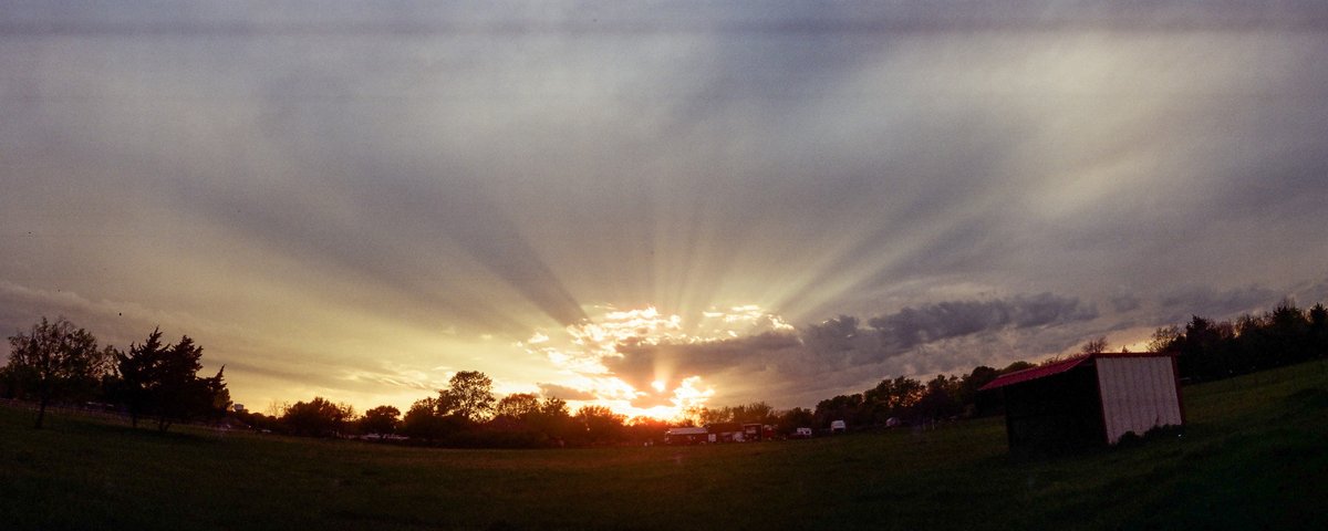 Somewhere in Waxahachie, Texas with my new Widelux F7 camera. Just got my scans from @LegacyPhotoLab. My neighbor's junkyard either looks like divinity or a nuclear explosion. Pretty sure the second one. #filmphotography #notstreetphotography #widelux