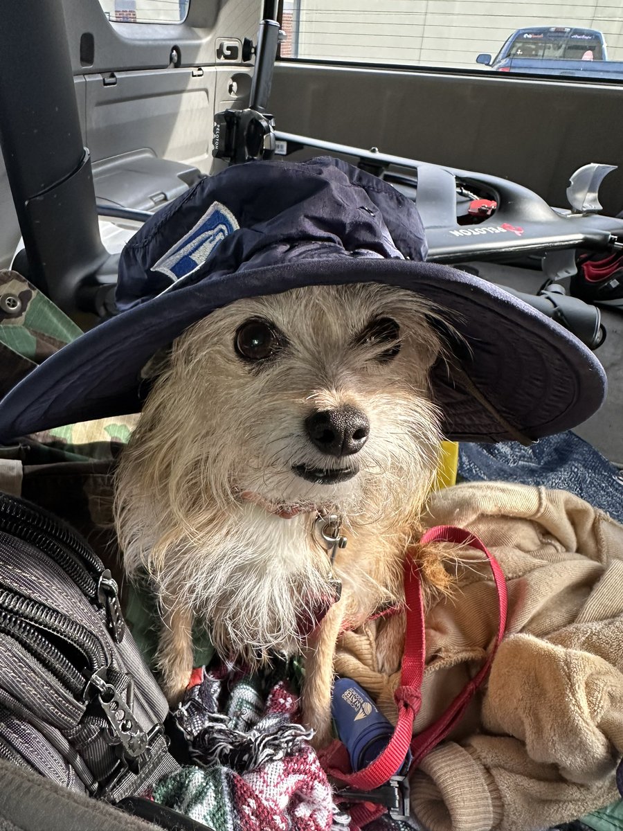 Listening live to these guys: <a href="/neilsolondz/">Neil Solondz</a>  <a href="/andybfreed/">Andrew Freed</a> 
w/ this guy (Nico) in #LynchburgVA 
#RaysUp