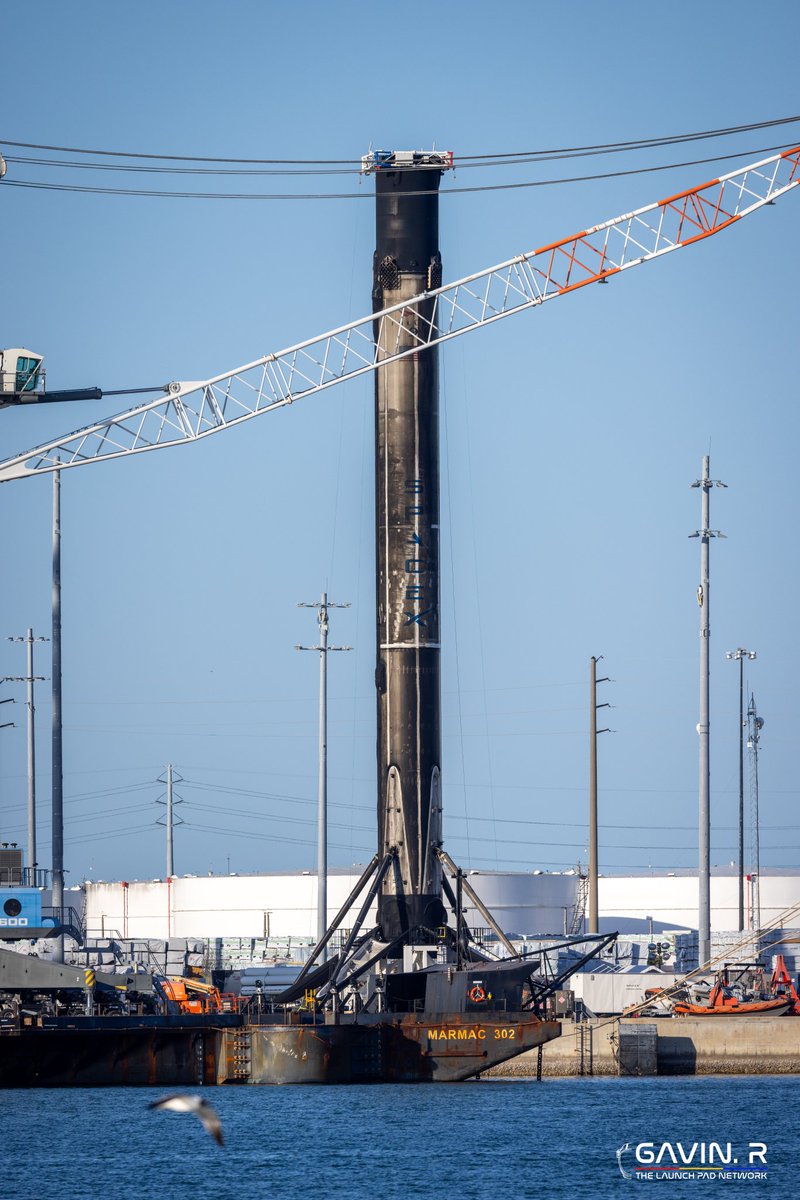 Falcon 9 B1062 in Port Canaveral after its record-breaking 20th flight a few days ago. 🤯🇺🇸 📸: me for @TLPN_Official @elonmusk