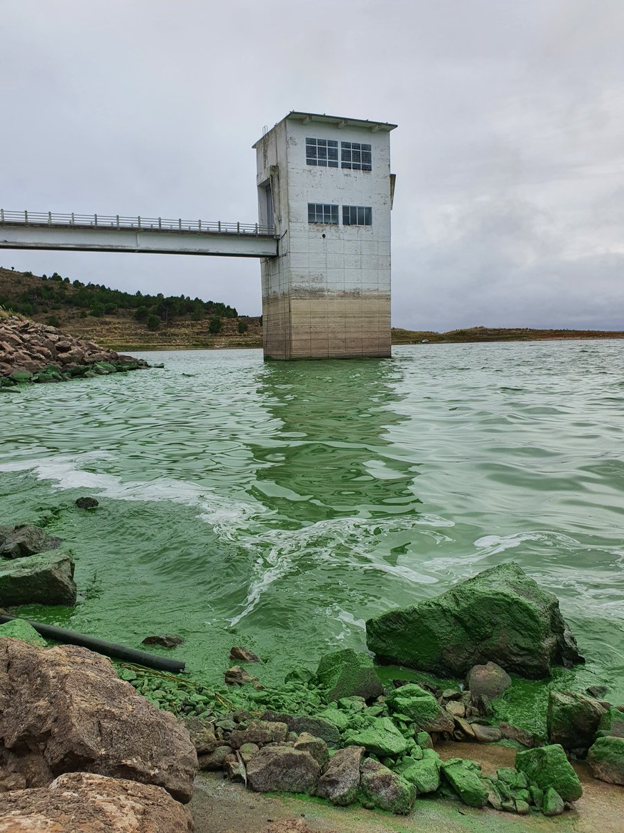 #BahiaBlanca #BuenosAires
#SinAgua Así esta el dique Paso Piedras q abastece a la ciudad de agua. El 80 % de los habitantes sin algo tan  básico y elemental como es el agua.