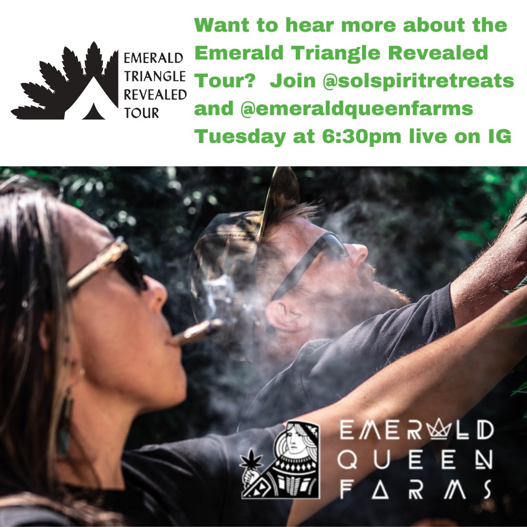 This week we are talking to one of the farms we visit on the Emerald Triangle Revealed Tour, Emerald Queen Farms.  Hannah and Riley run a tight operation, cultivating an acre of stellar 🌸in the Humboldt sunshine.
6:30pst on Tuesday 4/16 on the @solspiritretreats instagram live!