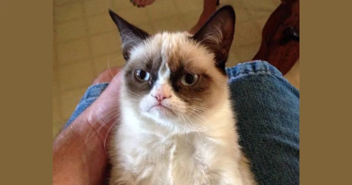 giveahoot tweet media