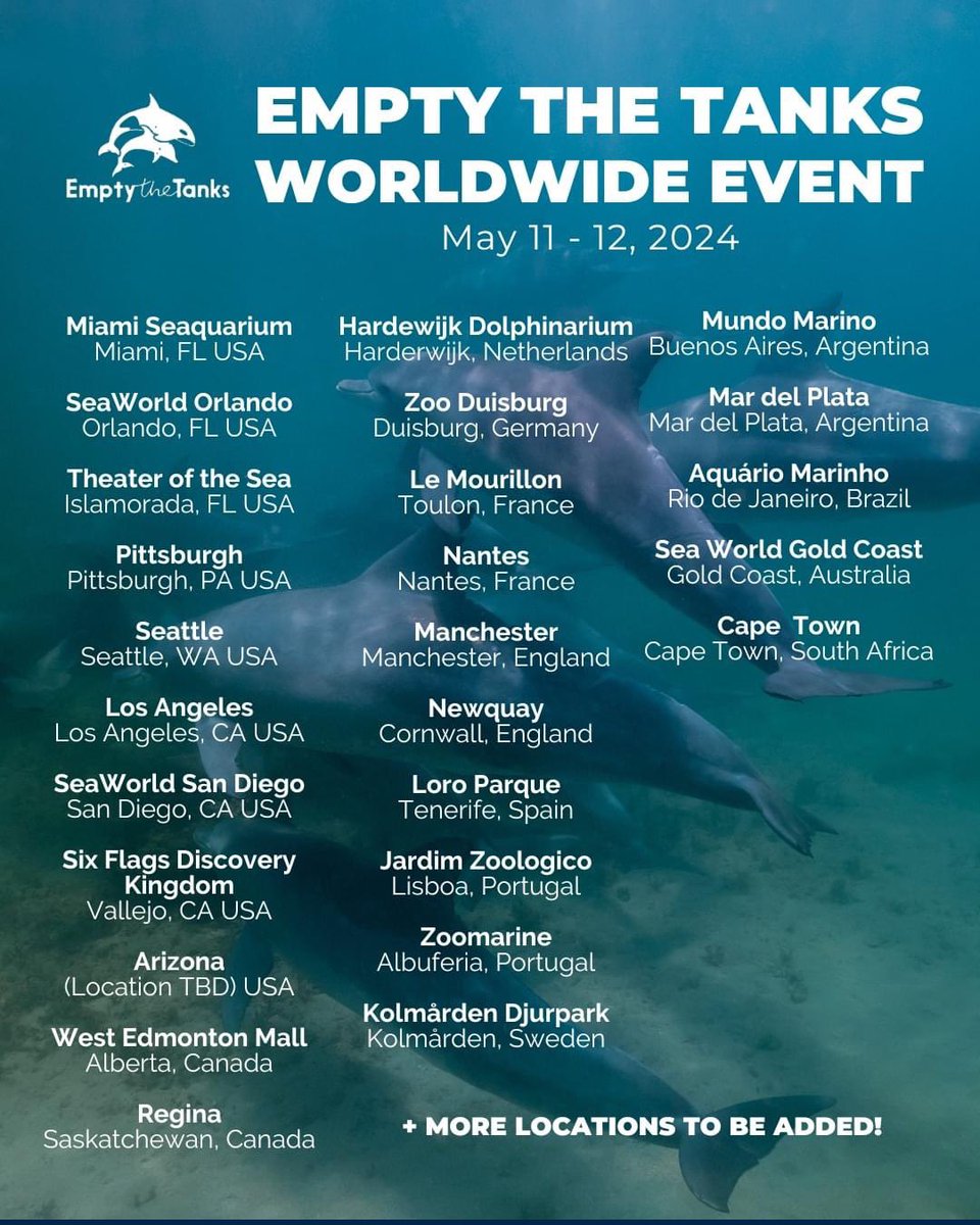 AnimalRightsFL1's tweet photo. Save the date- May 11! Empty the Tanks Orlando! Be part of this worldwide event outside #SeaWorld Orlando. Get detals here: https://t.co/8Ciex8y4Lt
#EmptyTheTanks https://t.co/M0IO0Hkh4v