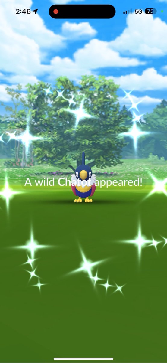 Morning, morning shiny Chatot! 🎶🐦✨ #PokemonGO