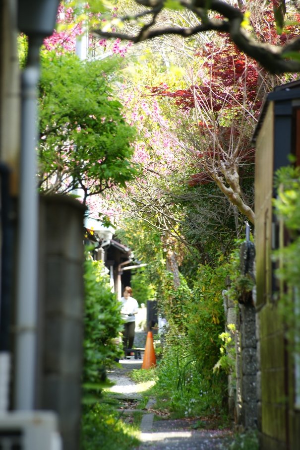 cherry_masaya's tweet photo. untitled ◆ Alley
4.14.2024(SONY α-900,minolta_100-300mmAPO,M/iso100)
#alley #springcoming #japanesestyle #forest
#kamakura #japan
#写真好きな人と繫がりたい
#旅行好きな人と繋がりたい
#小路 #鎌倉 #日本景點 #春の陽気 https://t.co/RyJPGhEckb