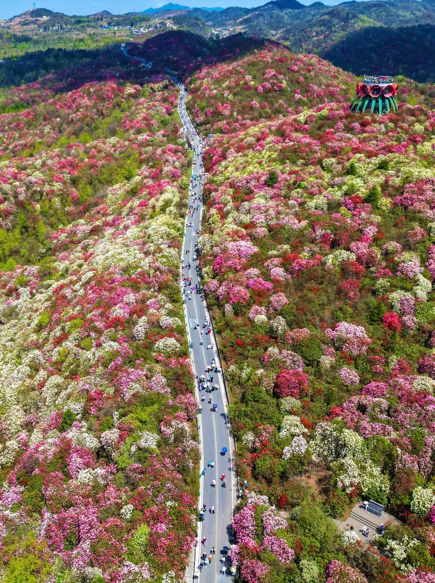 Spring in Guizhou is a place you can't miss.