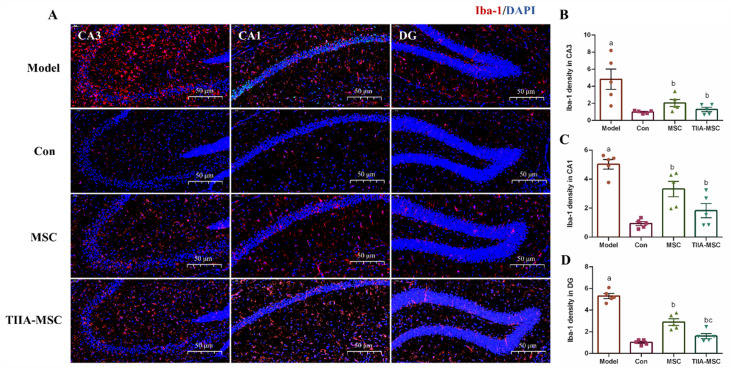 Neuroprotective effect of tanshinone IIA-modified mesenchymal stem cells in a lipopolysaccharide-induced neuroinflammation model dlvr.it/T5YKf6