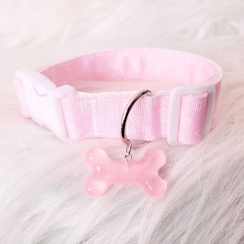 everyone put on your collars
6cRiiRnvkjkBtR81gVYUNn57b1PR9LWvQx2g7CZZoWFS