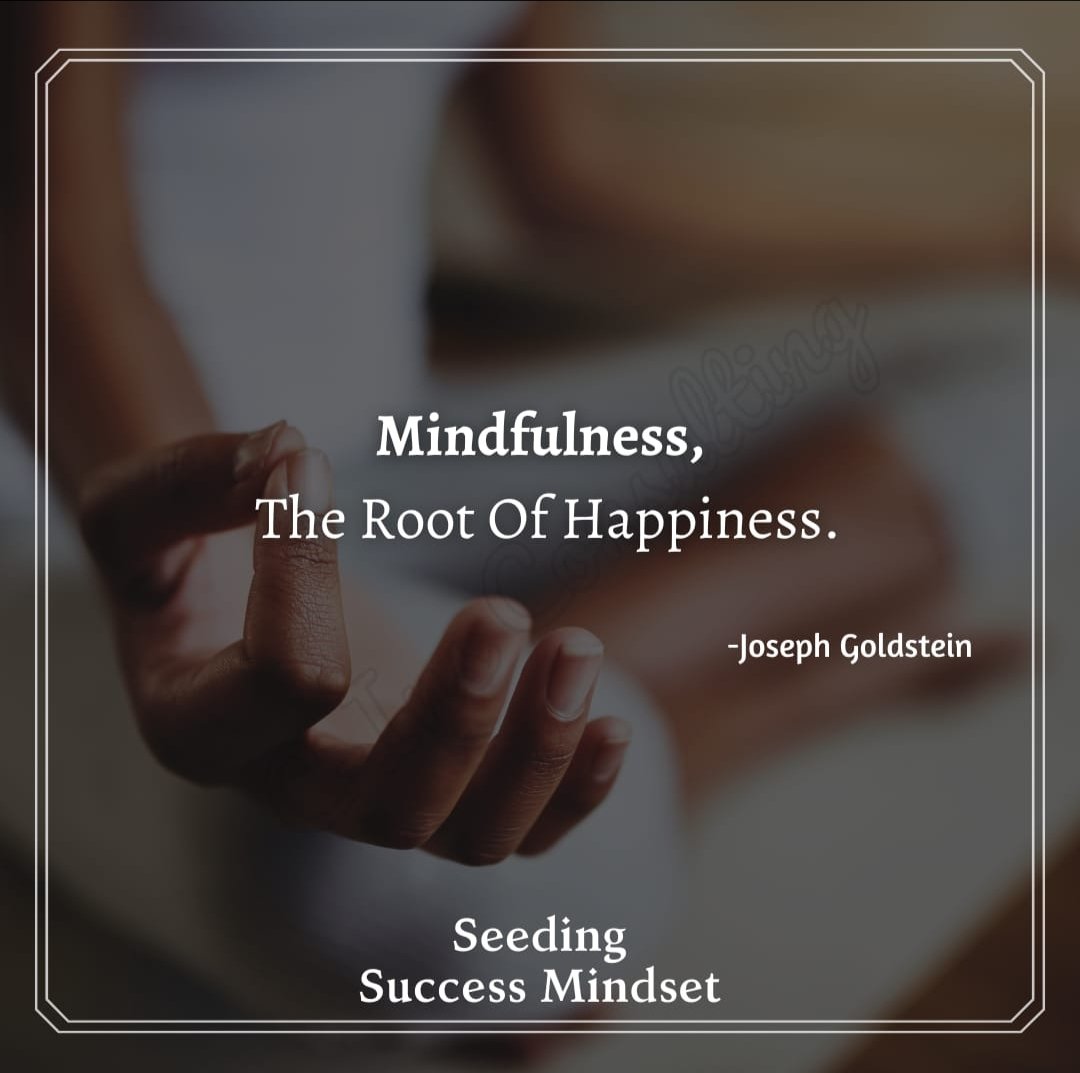 Mindfulness 

#successquotes #successmindset #seedingsuccessmindset #successtips  #confidencecoach #personaldevelopment #habits