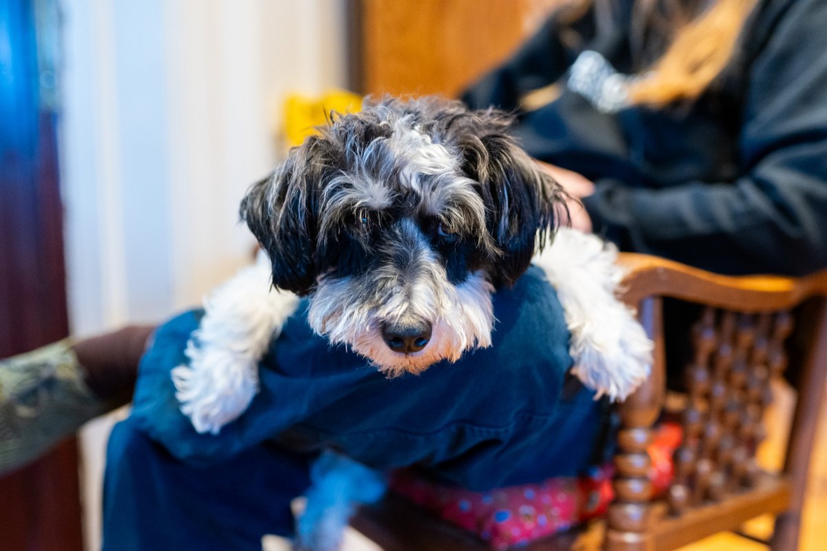 protocollabs's tweet image. 📸 One of our favorite shots from the Paths to Progress in Molecular Nanotechnology workshop. 🐶

#LabWeekPG 🌿

cc: @foresightinst