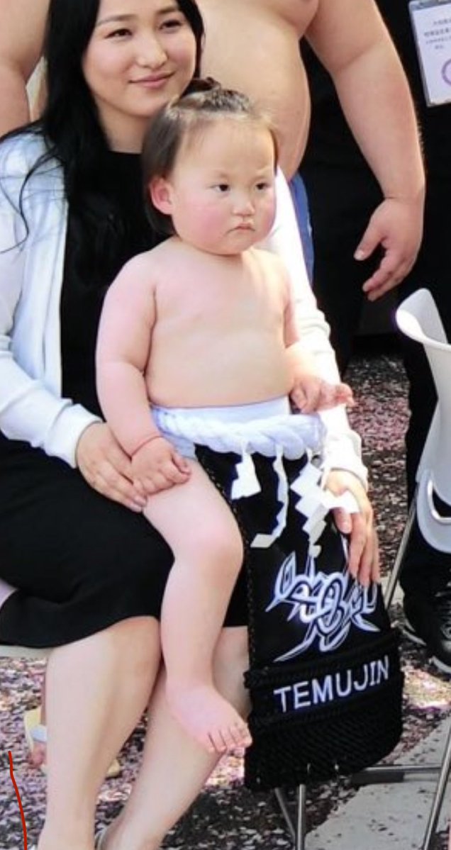照ノ富士の息子、てむじんくん 1歳4ヶ月で17kgなのかわいすぎて尊い