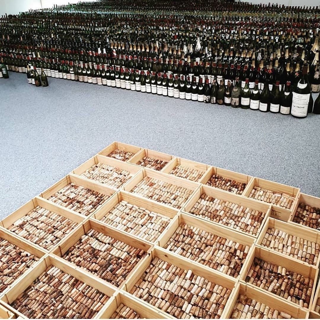 Alice Sienna Romano 🇺🇸🇺🇸🇺🇸 tweet media